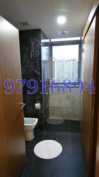 Spottiswoode Suites (D2), Apartment #148768562